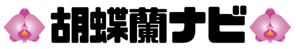 胡蝶蘭おすすめ通販ランキング2021【ギフトやお祝いに最適】